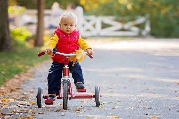 Zoete Peuter Jongen Paardrijden Driewieler Het Park Tijdig Zonsondergang Herfst — Stockfoto