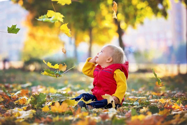 Щаслива Дитина Маленький Хлопчик Сміється Грає Листям Восени Природі Гуляє — стокове фото