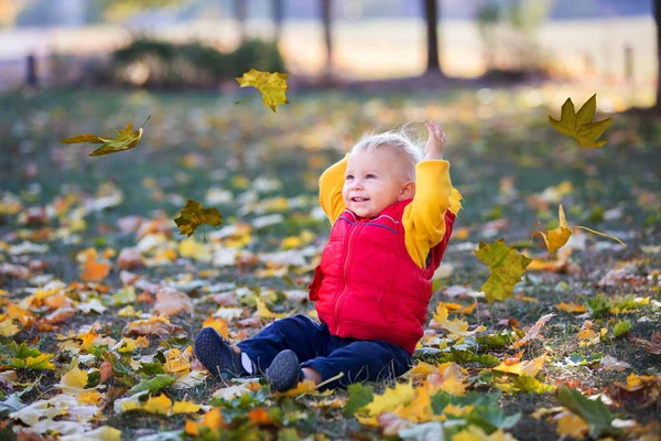 Fröhliches Kleines Kind Kleiner Junge Lachen Und Spielen Mit Blättern — Stockfoto