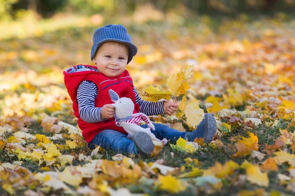 Šťastné Dítě Chlapeček Smát Hrát Listy Podzim Přírodě Chodit Venku — Stock fotografie