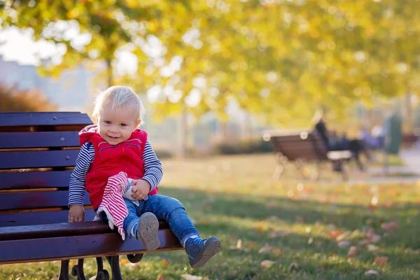 Šťastné Dítě Chlapeček Smát Hrát Uklidňující Hračka Podzim Přírodě Chodit — Stock fotografie