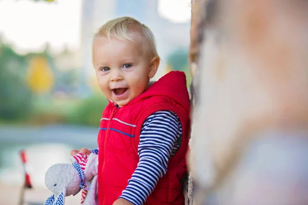 Szczęśliwe Dziecko Chłopca Śmiechu Zabawy Kojące Zabawka Jesieni Spacery Świeżym — Zdjęcie stockowe
