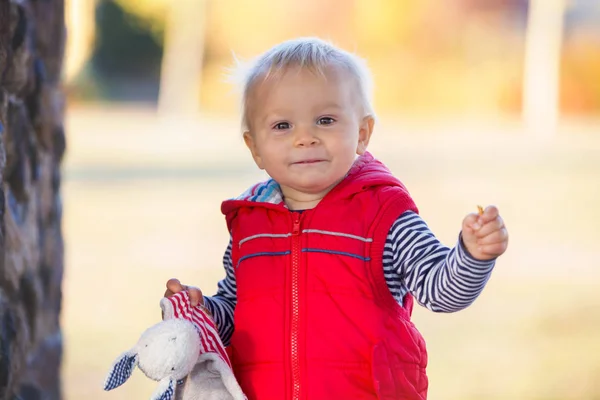 Happy Little Child Baby Boy Laughing Playing Soothing Toy Autumn — Stock Photo, Image