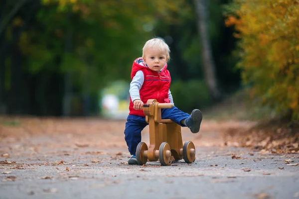 Piccolo Bambino Con Orsacchiotto Equitazione Legno Equilibrio Cane Autunno Parco — Foto Stock