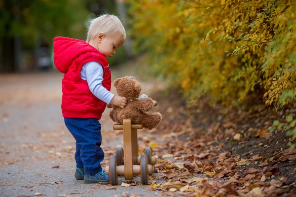 幼儿男孩与泰迪熊 骑木狗平衡自行车在秋季公园在一个阳光明媚的温暖的日子 孩子们休闲活动和幸福的概念 — 图库照片