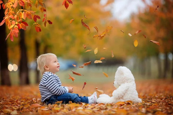 Kleines Kleinkind Das Herbstpark Mit Teddybär Spielt Blätter Sich Wirft — Stockfoto