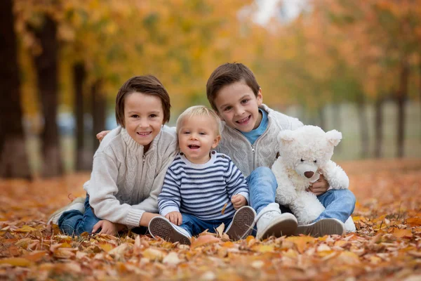 Portret Uroczych Dzieci Bracia Jesienny Park Wspólne Granie Trzyma Miś — Zdjęcie stockowe
