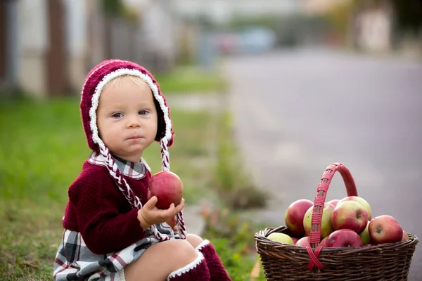 Bambino Che Mangia Mele Villaggio Autunno Bambino Che Gioca Con — Foto Stock