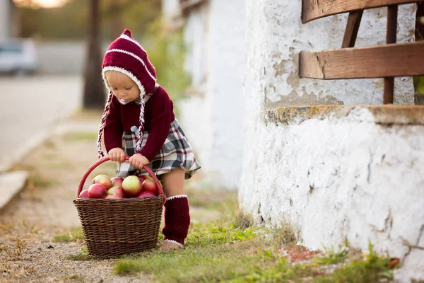 Çocuk Yeme Elma Sonbahar Bir Köyde Elma Ile Oynarken Küçük — Stok fotoğraf