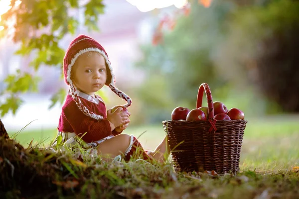 Bambino Che Mangia Mele Villaggio Autunno Bambino Che Gioca Con — Foto Stock