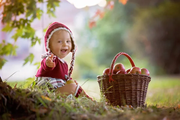 Dítě Jíst Jablka Jedné Vesnici Podzim Malý Chlapeček Hraje Jablky — Stock fotografie