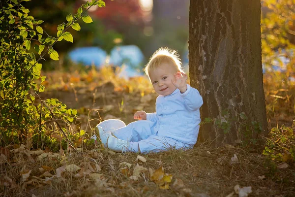 可爱的金发幼儿婴孩男孩走在秋季公园与毛绒玩具在手 背部点燃 — 图库照片