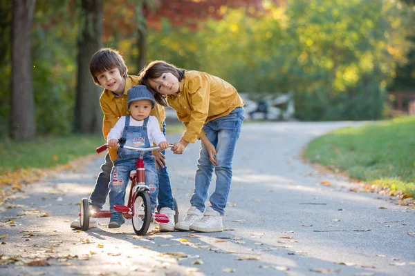 甜美的幼儿男孩 骑三轮车在公园的夕阳 秋天的时间 兄弟姐妹在公园里 享受警告秋日 — 图库照片