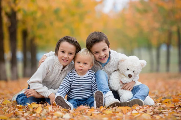 Portrait Adorable Children Brothers Autumn Park Playing Together Holding Teddy — Stock Photo, Image