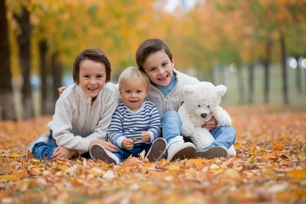 可爱的孩子 兄弟们的肖像 在秋天的公园里 一起玩耍 拿着泰迪熊玩具 — 图库照片
