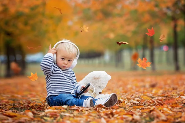 Kleiner Kleiner Junge Der Herbstpark Mit Teddybär Spielt Und Musik — Stockfoto