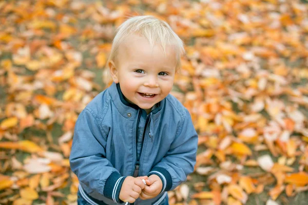 Nauwe Portret Van Een Lief Lachend Peuter Babyjongen Herfst Park — Stockfoto