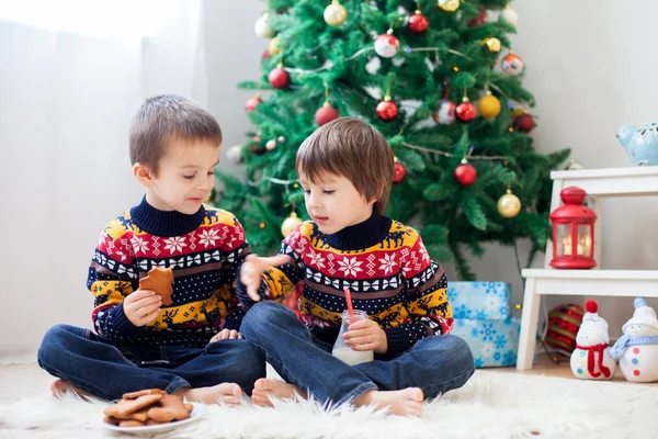 两个可爱的孩子 男孩兄弟 吃饼干 喝牛奶在家 圣诞装饰背后然后 玩耍的孩子 圣诞节概念 — 图库照片