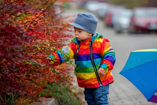 Dulce Niño Divertido Con Abrigo Rainboy Paraguas Multicolor Saltando Charcos — Foto de Stock