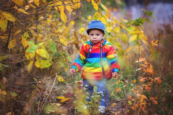 Doce Criança Engraçada Com Casaco Rainboy Guarda Chuva Multicolorido Pulando — Fotografia de Stock