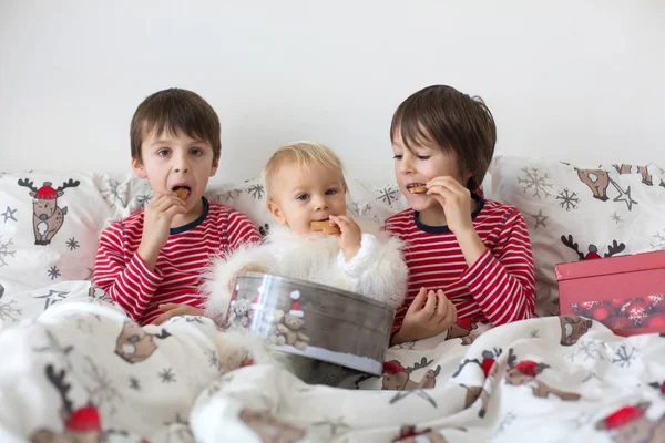 快乐的孩子 兄弟们 在圣诞节的早晨在床上吃饼干 — 图库照片