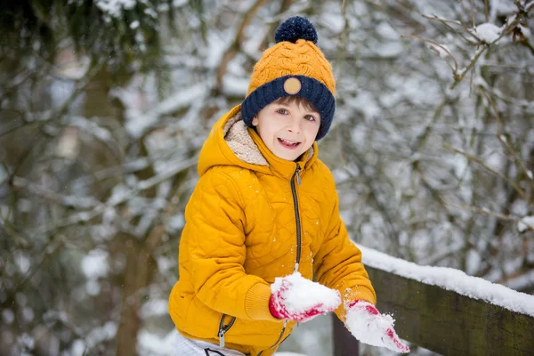 Söt Liten Förskola Pojke Leker Utomhus Med Snö Vinterdag Snöar — Stockfoto