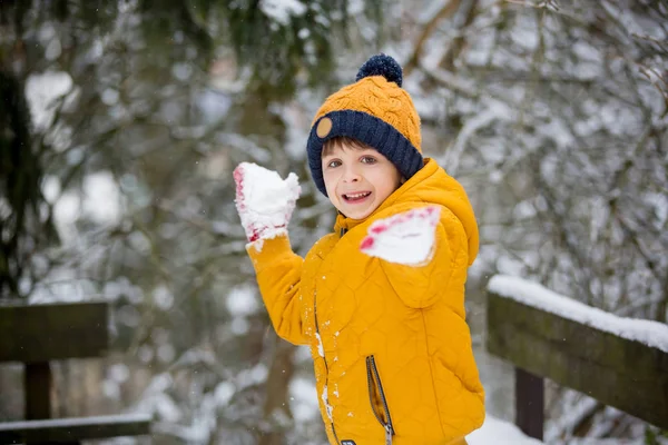 Menino Pré Escolar Bonito Brincando Livre Com Neve Dia Inverno — Fotografia de Stock
