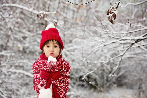 Sevimli Küçük Yürümeye Başlayan Çocuk Açık Havada Bir Kış Gününde — Stok fotoğraf
