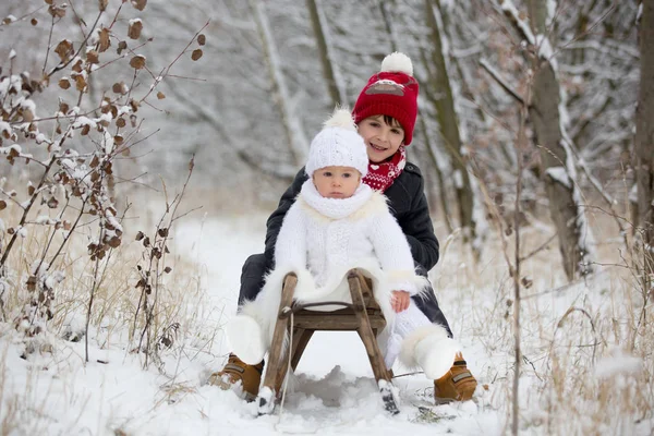 Милий Маленький Хлопчик Його Старші Брати Граючи Відкритому Повітрі Снігом — стокове фото
