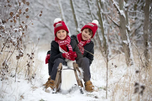 Sevimli Küçük Yürümeye Başlayan Çocuk Açık Havada Bir Kış Gününde — Stok fotoğraf