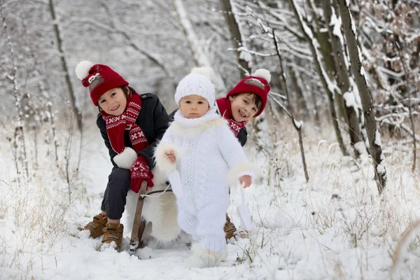 Mignon Petit Garçon Tout Petit Ses Frères Aînés Jouer Extérieur — Photo