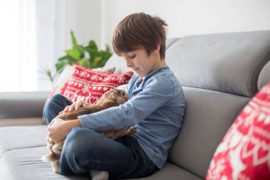 Sevimli küçük çocuk evde güneşli odada apple ile tavşan besleme