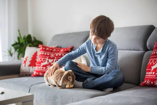 Cute Little Boy Feeding Rabbits Apple Home Sunny Room — Stock Photo, Image