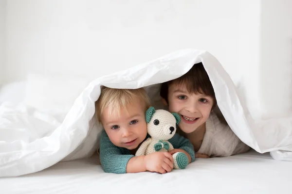 Piccolo Bambino Carino Suo Fratello Maggiore Bambini Maglioni Maglia Tenendo — Foto Stock