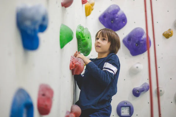Süßer Kleiner Vorschulkind Kletterwand Drinnen Spaß Haben Aktive Kinder — Stockfoto