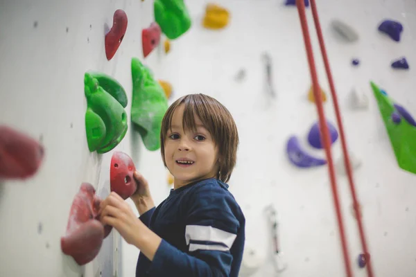 Süßer Kleiner Vorschulkind Kletterwand Drinnen Spaß Haben Aktive Kinder — Stockfoto