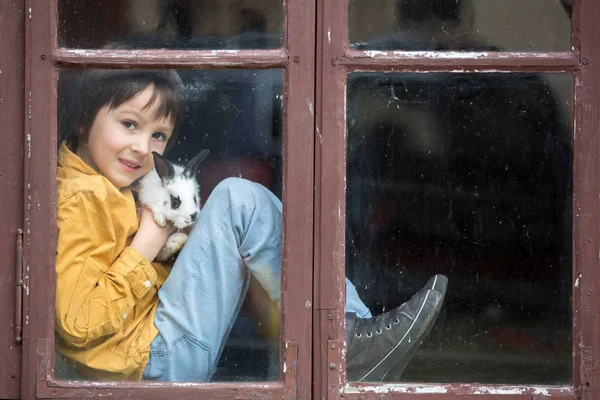 Sevimli Küçük Okul Öncesi Çocuk Tavşanlarla Evcil Hayvan Vintage Pencerede — Stok fotoğraf