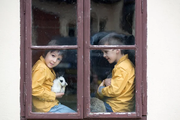 Carino Bambini Età Prescolare Fratelli Giocare Con Conigli Animali Domestici — Foto Stock