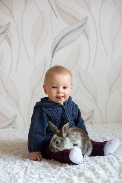 自宅のペット ウサギと遊ぶかわいい小さな男の子 — ストック写真