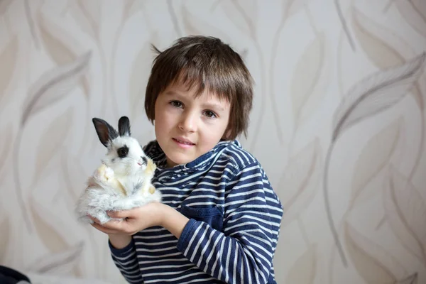 Bonito Menino Pré Escolar Brincando Com Coelhos Animais Estimação Casa — Fotografia de Stock