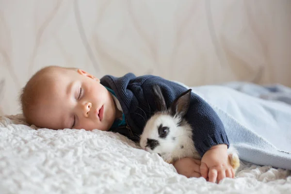 Söt Liten Pojke Sover Med Sällskapsdjur Kaniner Hemma — Stockfoto