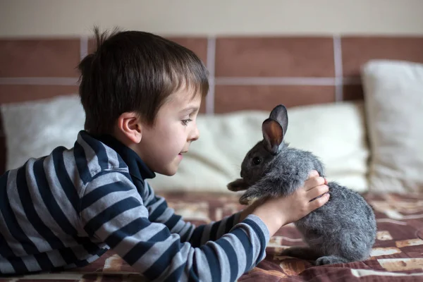 Bonito Menino Pré Escolar Brincando Com Coelhos Estimação Casa Animais — Fotografia de Stock