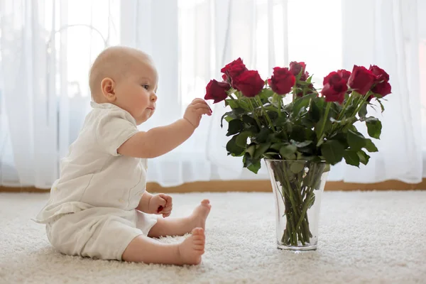 Mały Chłopiec Malucha Słodkie Dziecko Siedząc Różami Mamie Dzień Matki — Zdjęcie stockowe