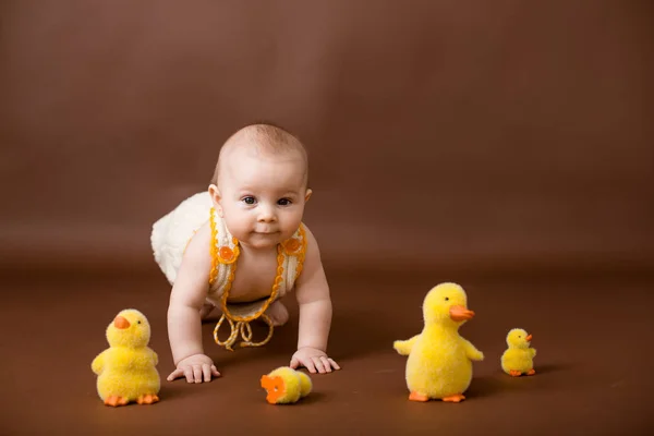 Niño Pequeño Jugando Con Patos Decorativos Aislado Sobre Fondo Marrón —  Fotos de Stock