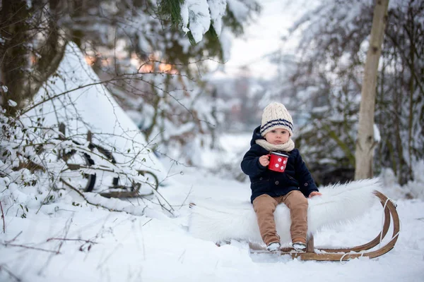 Süße Geschwister Kinder Beim Winterfest Verschneiten Wald Die Freunde Der — Stockfoto