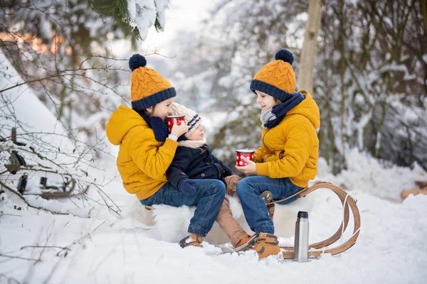 甘い兄弟 雪の森で冬のパーティーをしている子供たち 子供の友人は自然の中で屋外で休んでいます 弟達よ魔法瓶からお茶を飲んで 寒い日の熱い飲み物と飲み物 — ストック写真