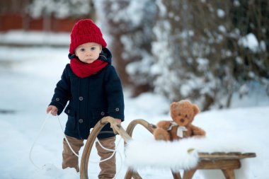 Bebek kışın karda Teddy ile oynuyor. Mavi ceketli küçük çocuk, kızağın üzerinde kayıyor, oyuncak ayıyı tutuyor, kış parkında açık havada oynuyor. Çocuklar karlı parkta oynuyor.