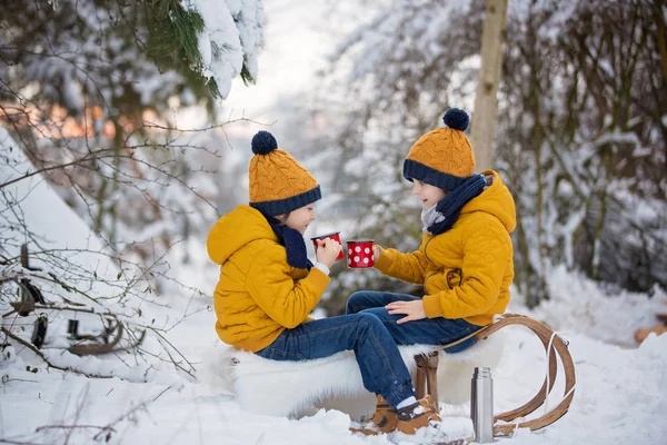 甘い兄弟 雪の森で冬のパーティーをしている子供たち 子供の友人は自然の中で屋外で休んでいます 弟達よ魔法瓶からお茶を飲んで 寒い日の熱い飲み物と飲み物 — ストック写真