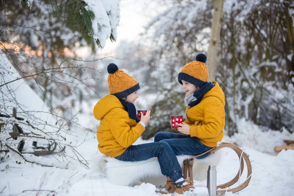 甘い兄弟 雪の森で冬のパーティーをしている子供たち 子供の友人は自然の中で屋外で休んでいます 弟達よ魔法瓶からお茶を飲んで 寒い日の熱い飲み物と飲み物 — ストック写真