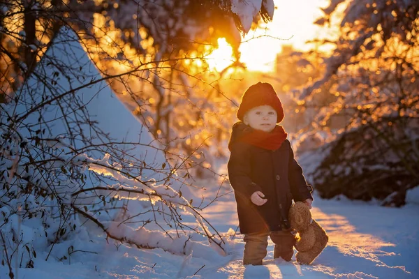 宝宝在雪地里玩泰迪熊 穿着蓝色外套的小孩 日落时抱着泰迪熊 在冬季公园的室外玩耍 孩子们在雪地公园玩耍 — 图库照片